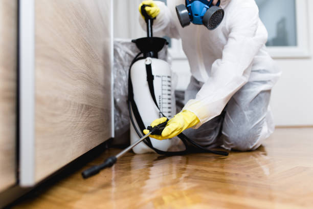 Best Bed Bug Extermination  in Raymond, WA