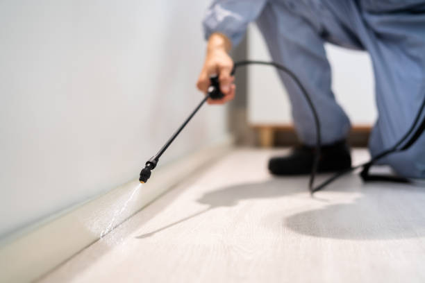 Professional Pest Control in Raymond, WA