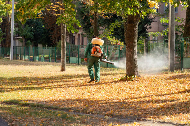 Best Residential Pest Control  in Raymond, WA