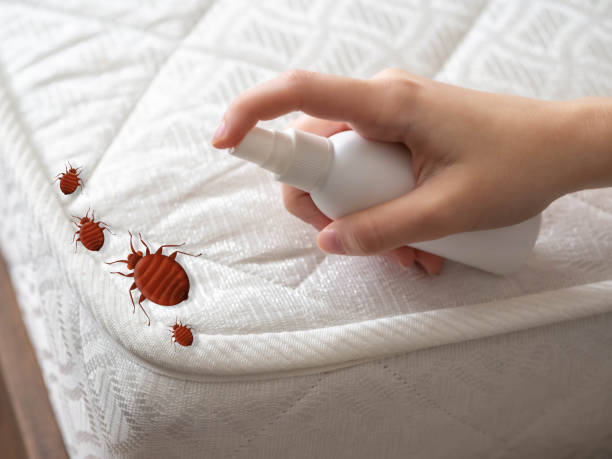 Best Affordable Pest Control Services  in Raymond, WA