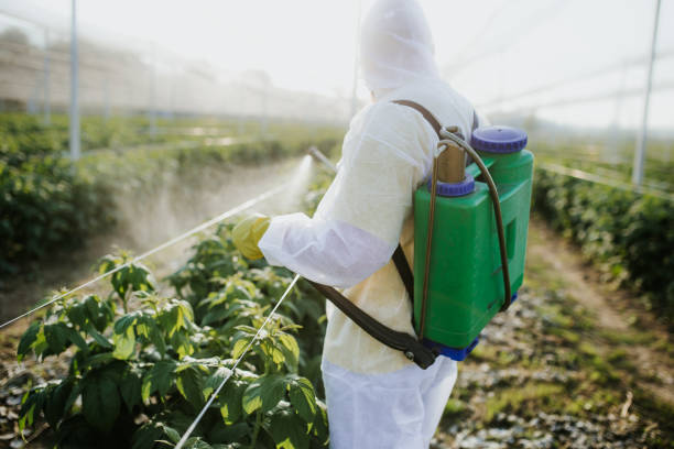 Best Pest Control Near Me  in Raymond, WA